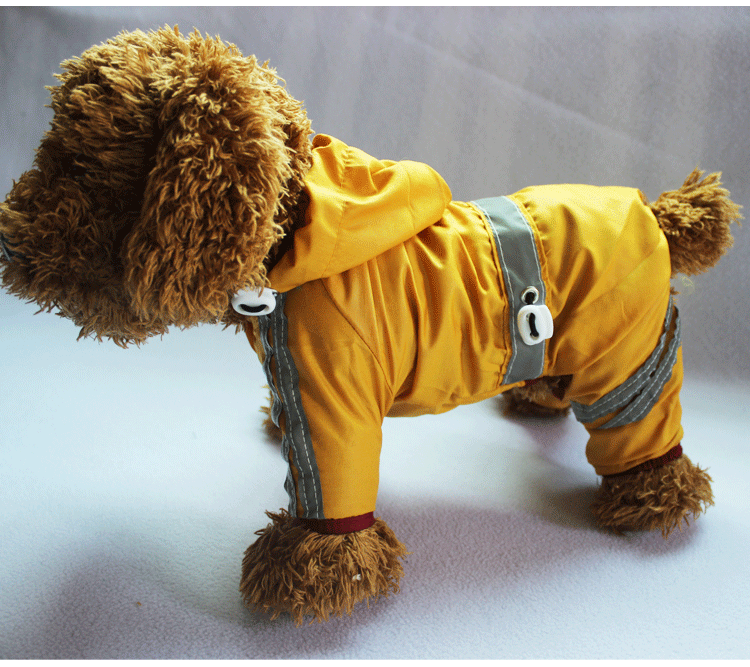 Pet Supplies York - Waterproof dog clothes small dog pet