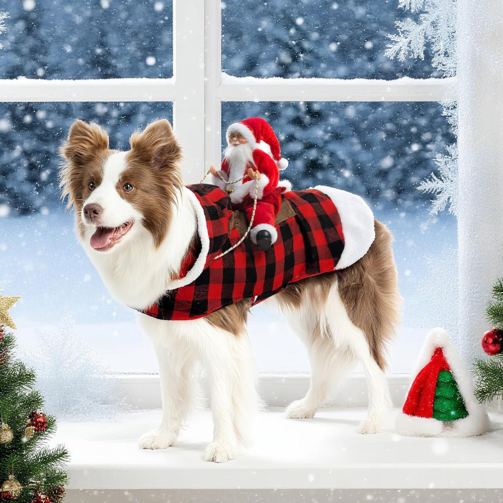 Pet Supplies York - Winter Happy New Year Pet Costume