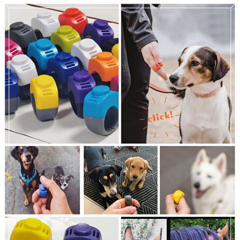 【F】New Ring Clicker Pet Mini F - огляд і ціна Training Clicker Dog