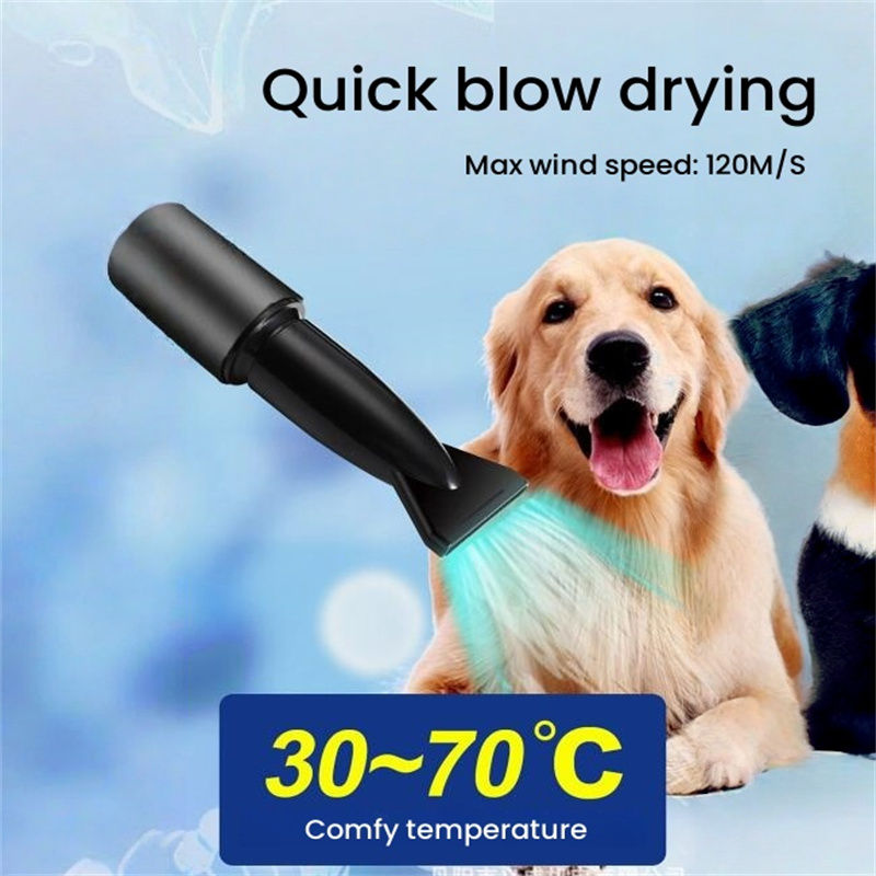 Pet High Velocity 2000W Hair D - огляд і ціна Pet Supplies And More