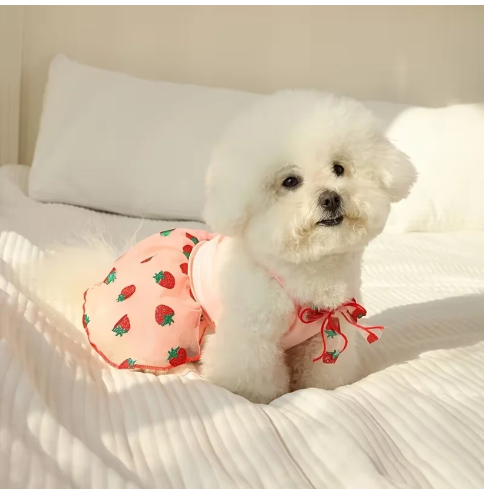 Summer Thin Puppy Princess Ski - огляд і ціна Pet Supplies York