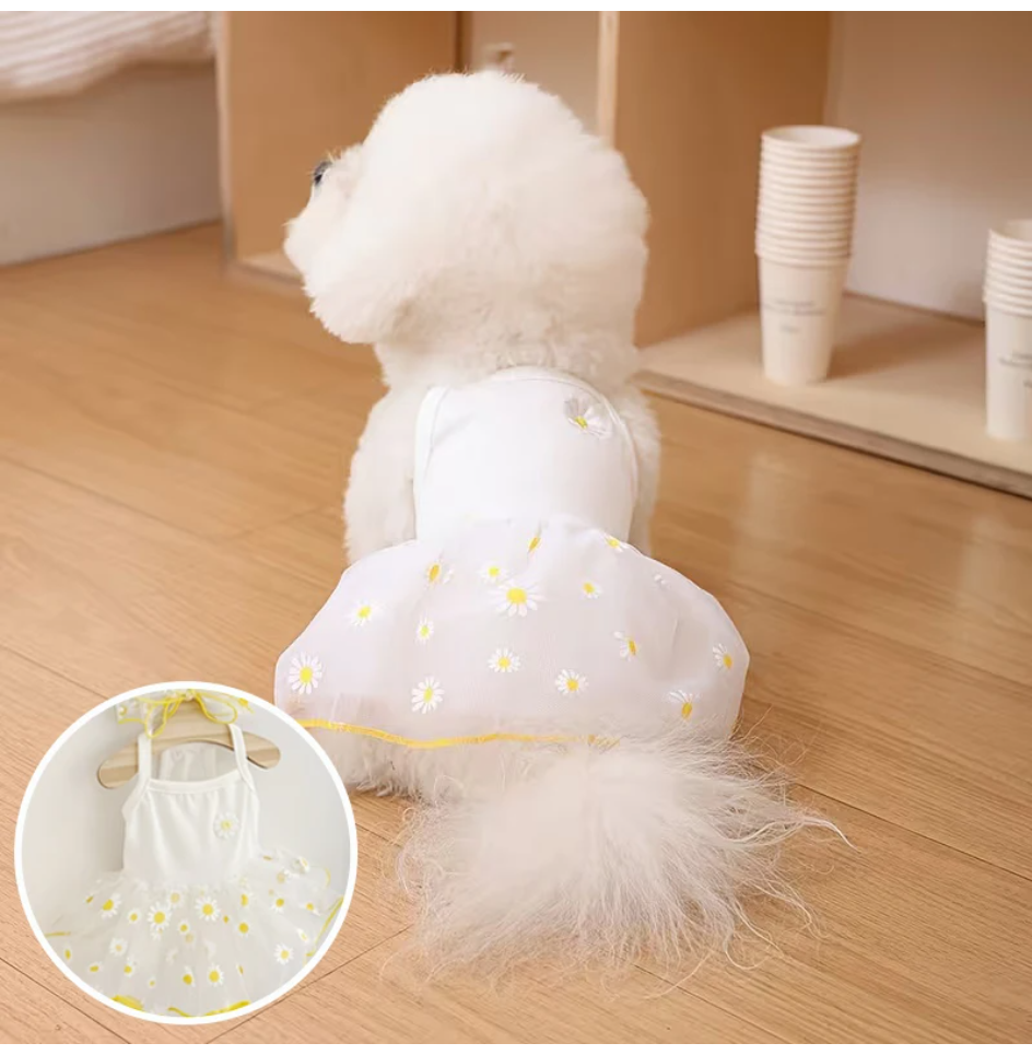 Summer Thin Puppy Princess Ski - огляд і ціна Pet Supplies York
