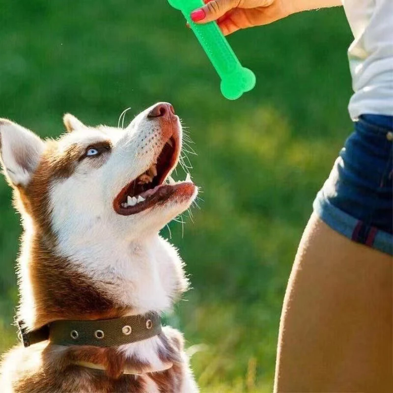 Super Tough Dog Bone Chew Toy  - огляд і ціна Training Clicker Dog
