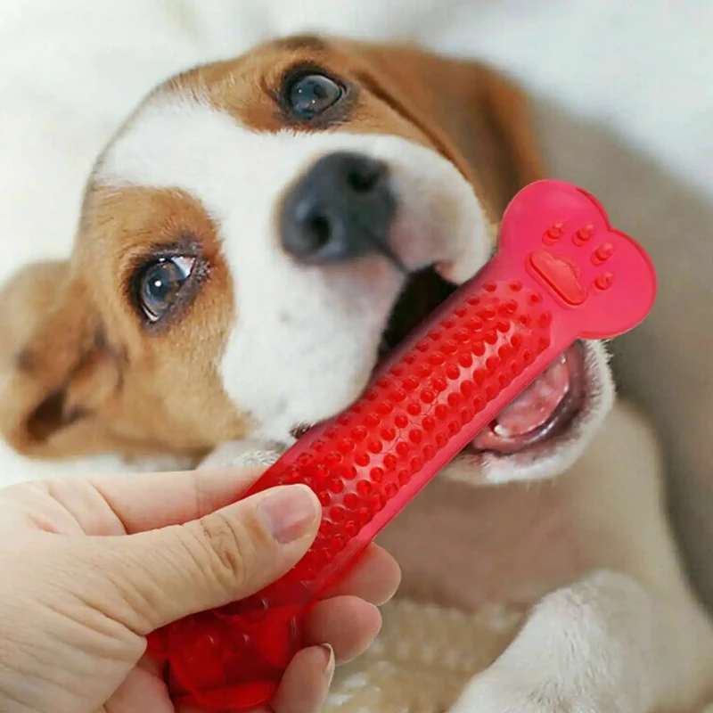 Super Tough Dog Bone Chew Toy  - огляд і ціна Training Clicker Dog