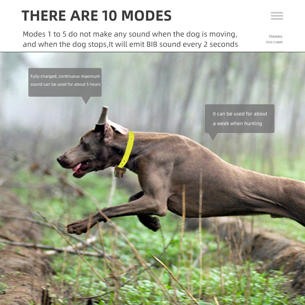 Rechargeable Hunting Dog Beepe - огляд і ціна Training Clicker Dog