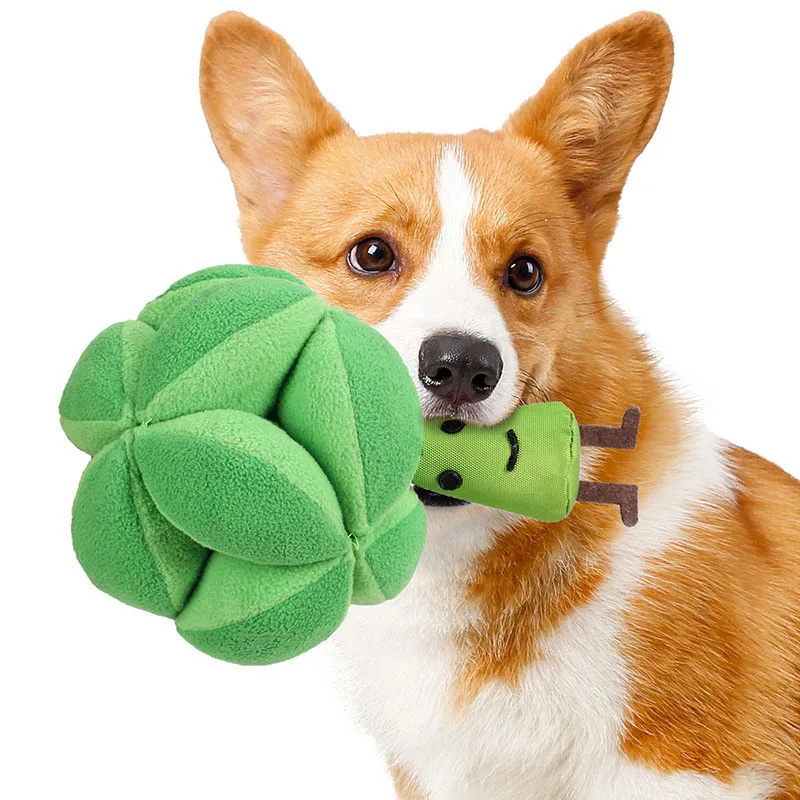 Snuffle Broccoli Dog Puzzle To - огляд і ціна Dog Treat Puzzle Toy