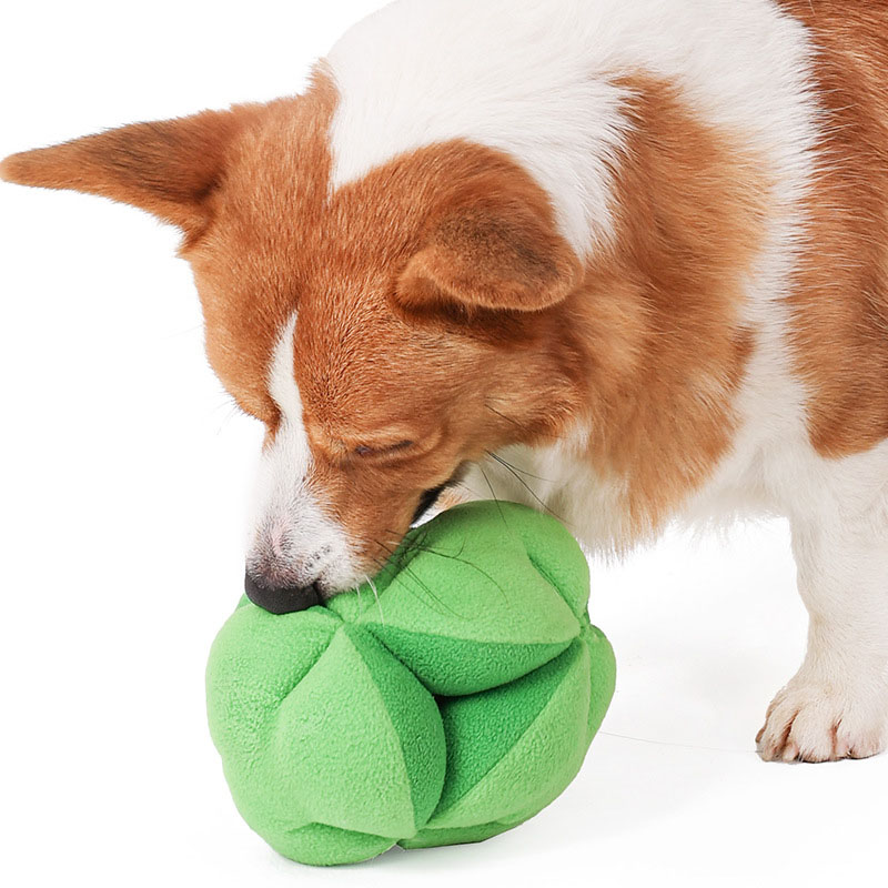 Snuffle Broccoli Dog Puzzle To - огляд і ціна Dog Treat Puzzle Toy