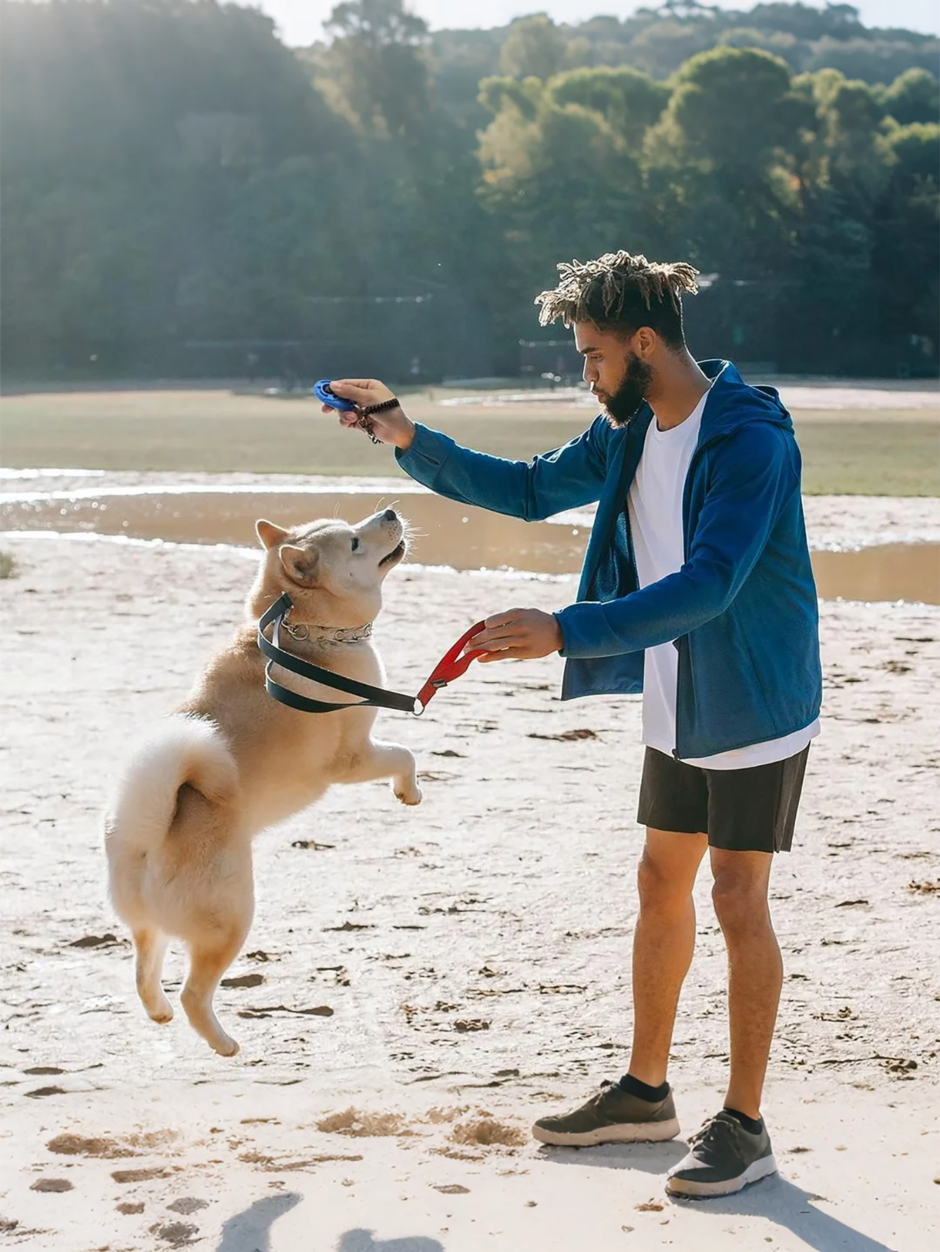 Dog Training Clicker with Wris - огляд і ціна Training Clicker Dog