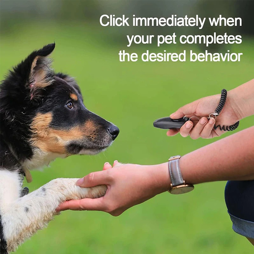 2 In 1 Pet Dog Clicker Dog Tra - огляд і ціна Training Clicker Dog
