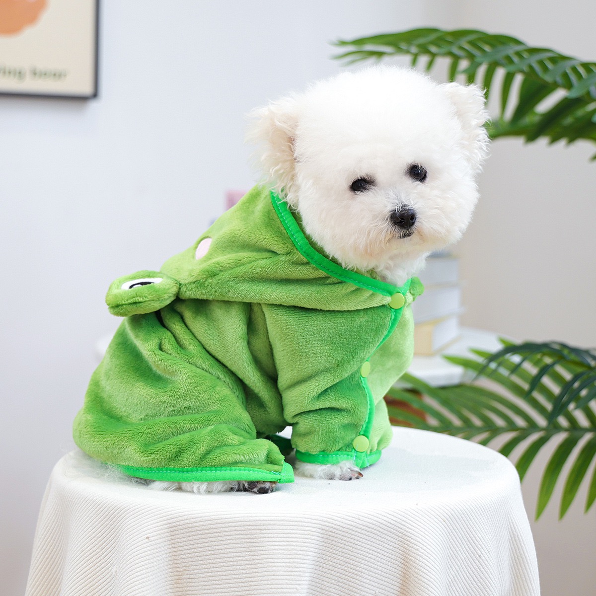Frog Cap One Piece Dogs Cloak  - огляд і ціна Pet Supplies York