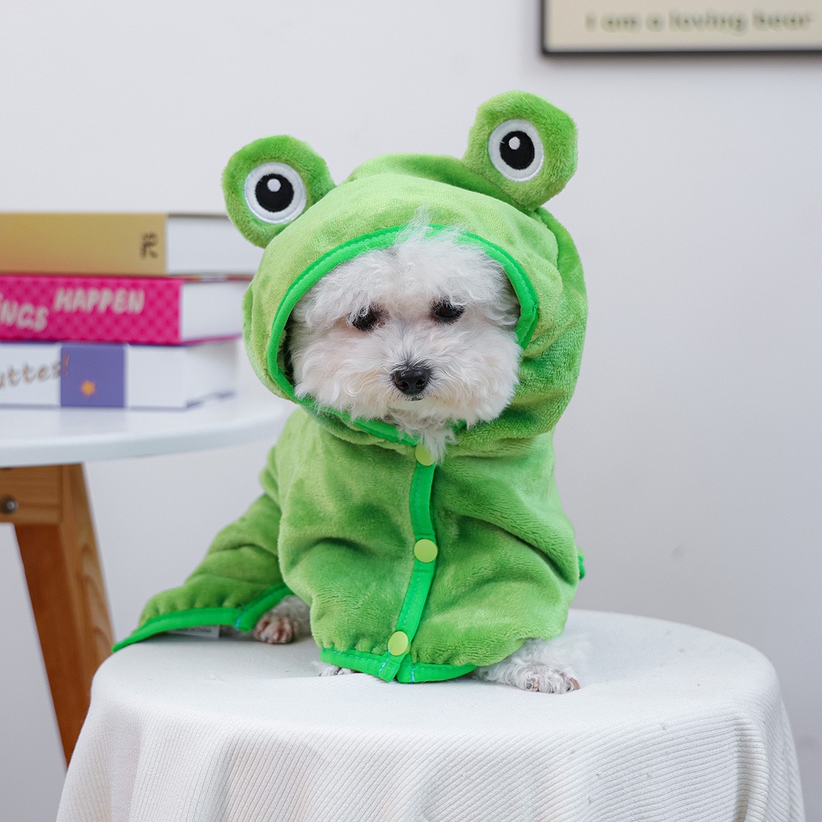 Frog Cap One Piece Dogs Cloak  - огляд і ціна Pet Supplies York