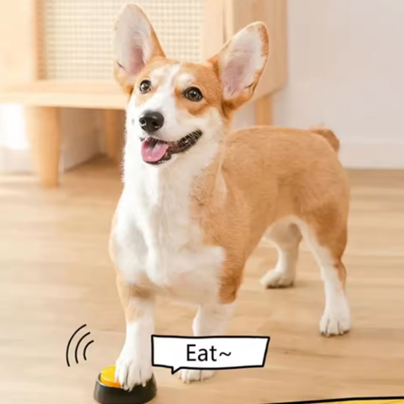 Dog Communication Buttons Voic - огляд і ціна Training Clicker Dog