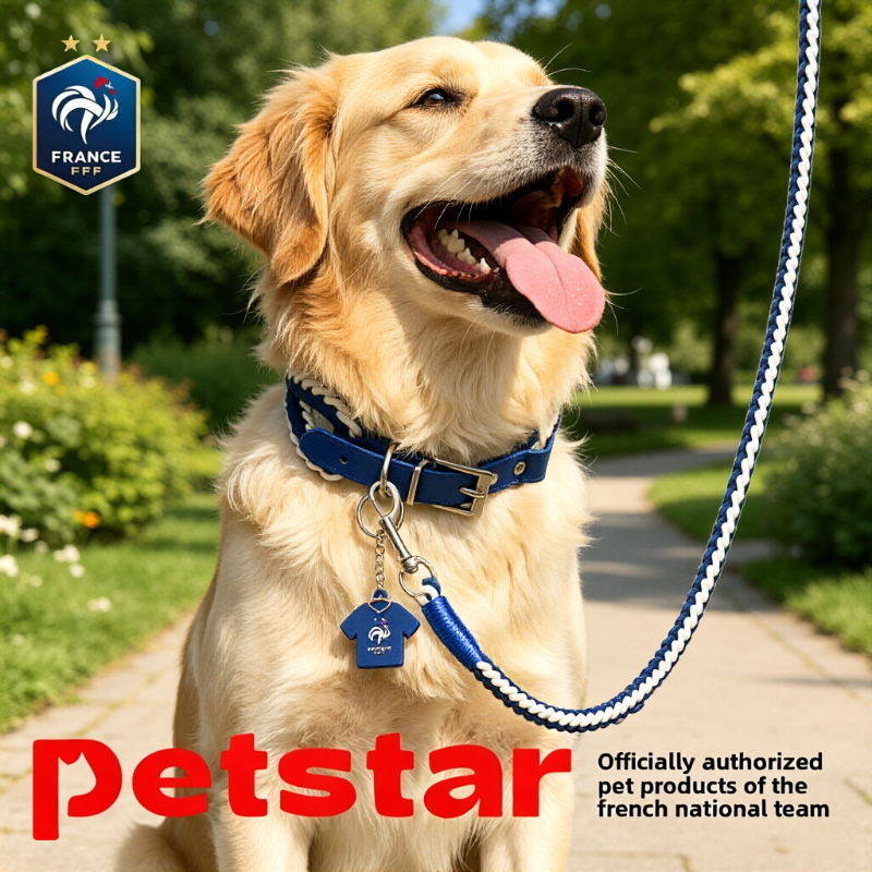 French Football Team Style Pet - огляд і ціна Pet Supplies Jersey