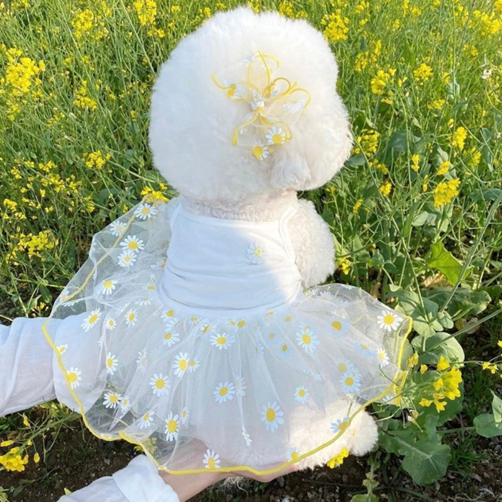 Summer Thin Puppy Princess Ski - огляд і ціна Pet Supplies York