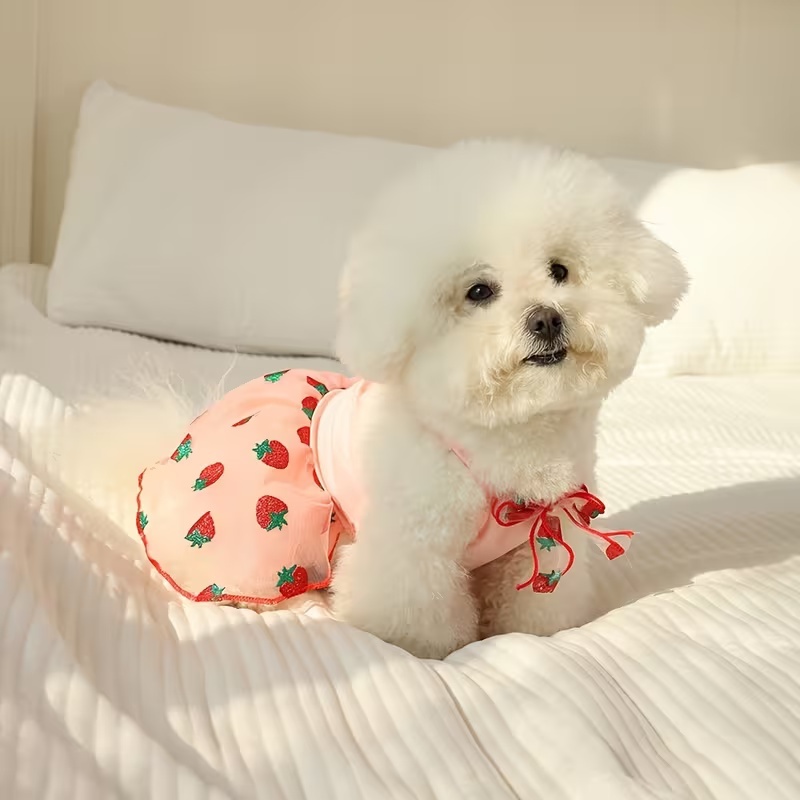 Summer Thin Puppy Princess Ski - огляд і ціна Pet Supplies York