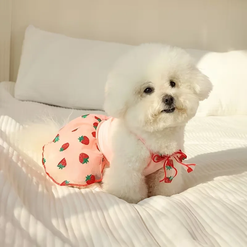 Summer Thin Puppy Princess Ski - огляд і ціна Pet Supplies York