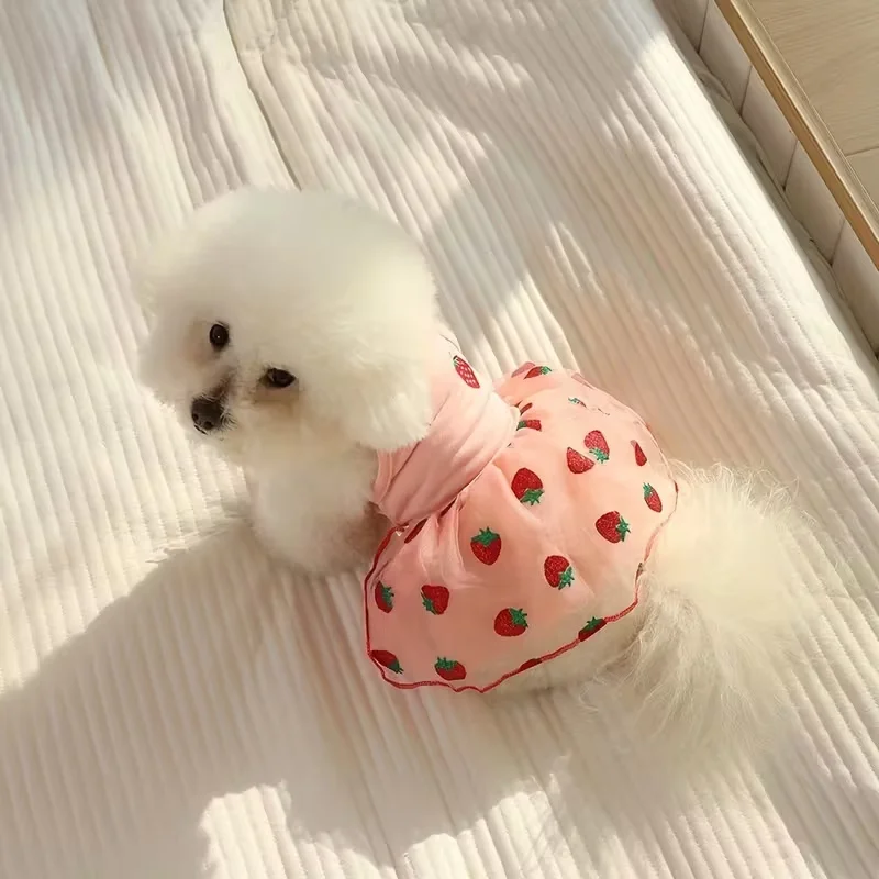 Summer Thin Puppy Princess Ski - огляд і ціна Pet Supplies York