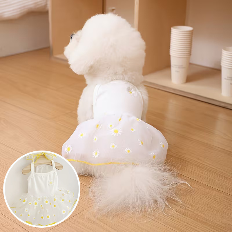 Summer Thin Puppy Princess Ski - огляд і ціна Pet Supplies York