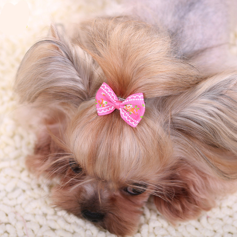 Cute Hairpin for Dogs Kitten P - огляд і ціна Pet Supplies York
