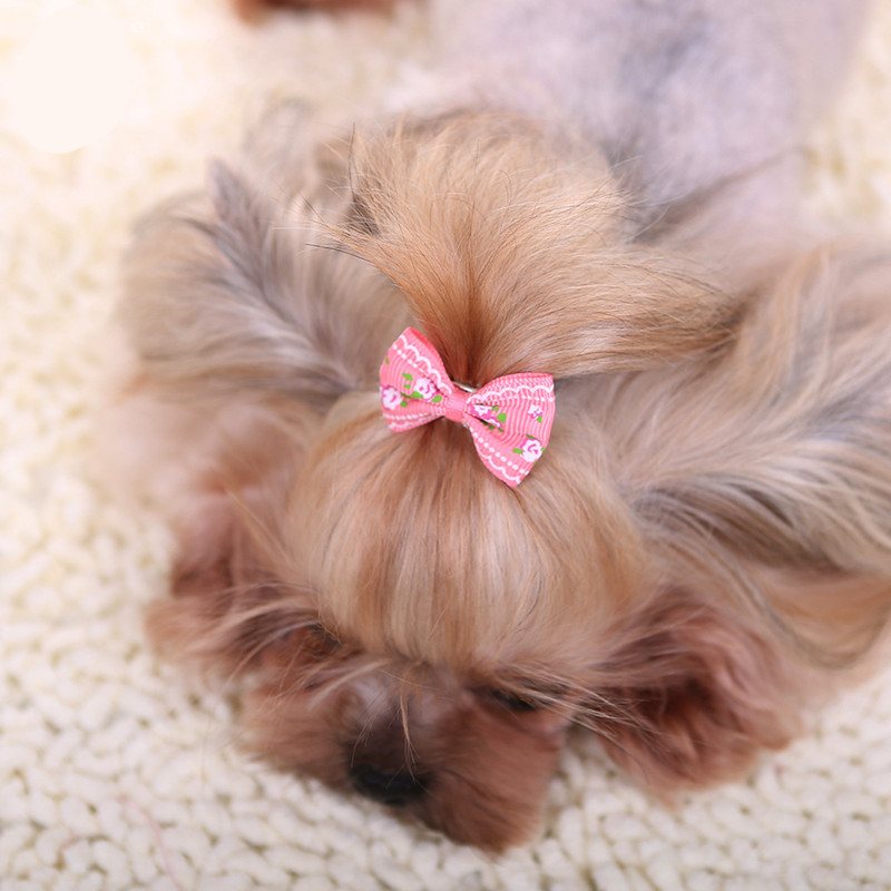 Cute Hairpin for Dogs Kitten P - огляд і ціна Pet Supplies York
