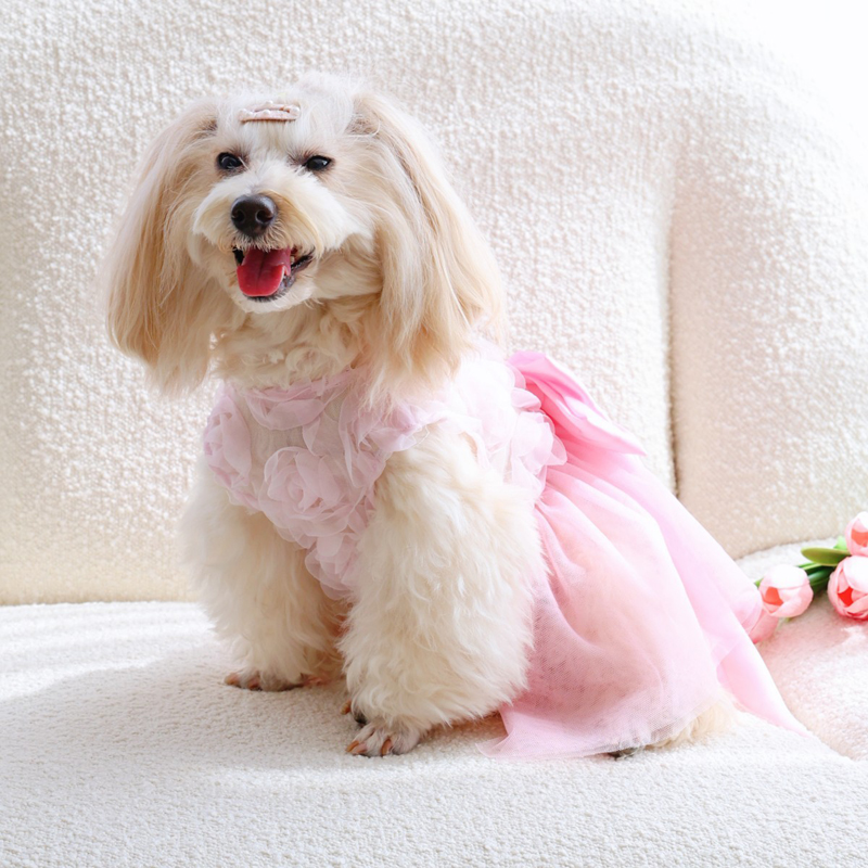 Spring Summer Thin Puppy Princ - огляд і ціна Pet Supplies York