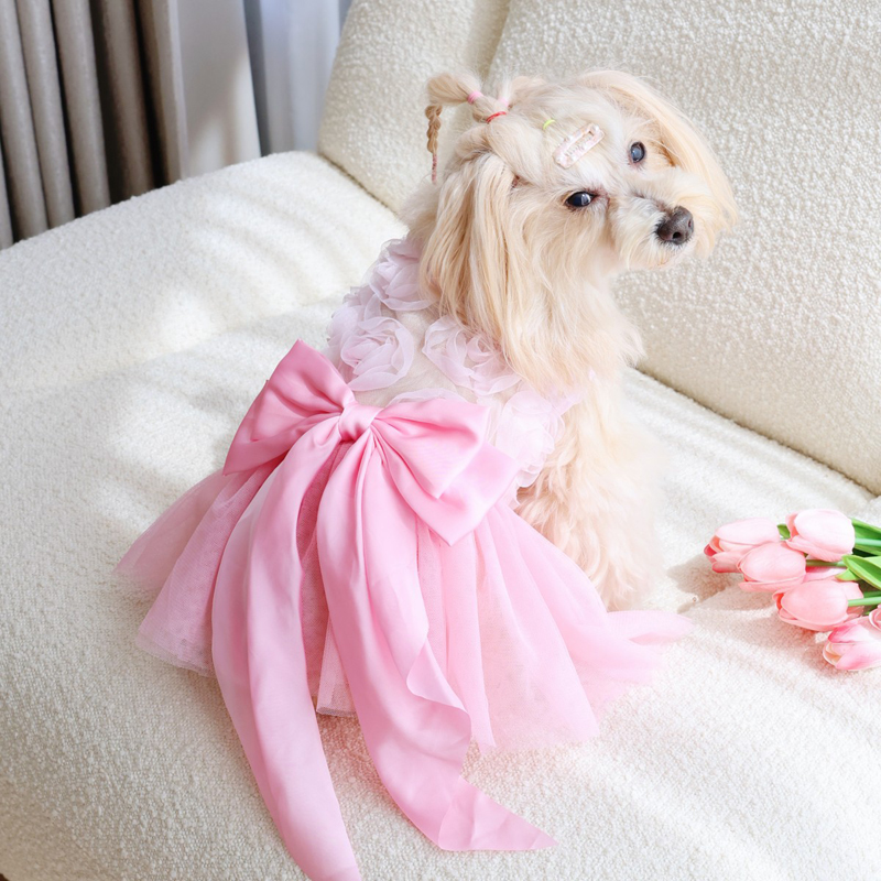 Spring Summer Thin Puppy Princ - огляд і ціна Pet Supplies York