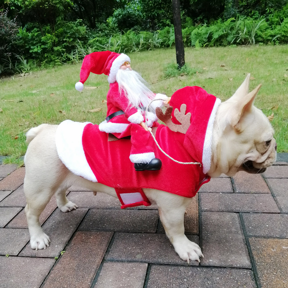 Winter Happy New Year Pet Cost - огляд і ціна Pet Supplies York